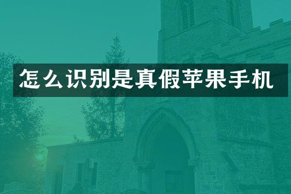 怎么识别是真假苹果手机