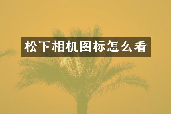 相机图标怎么看