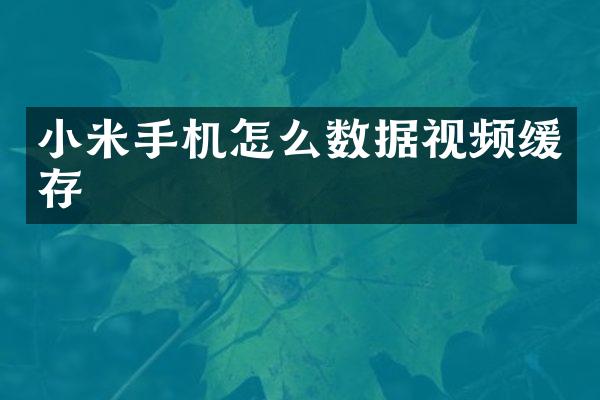 小米手机怎么数据视频缓存