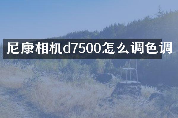 尼康相机d7500怎么调色调