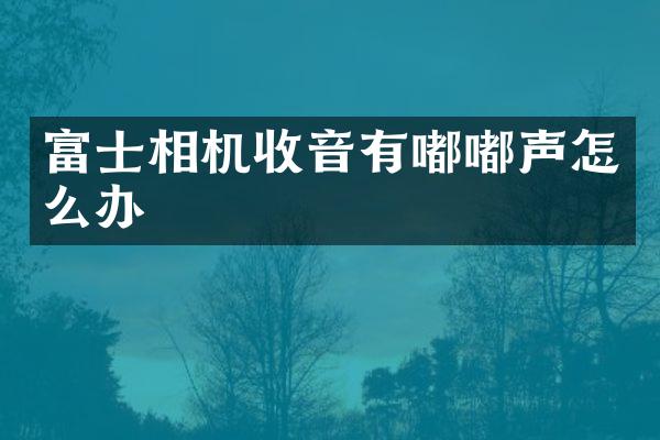 富士相机收音有嘟嘟声怎么办