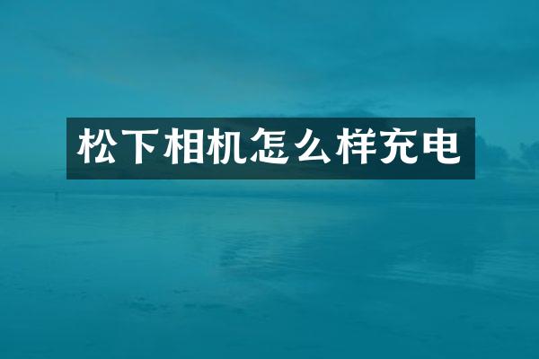 相机怎么样充电