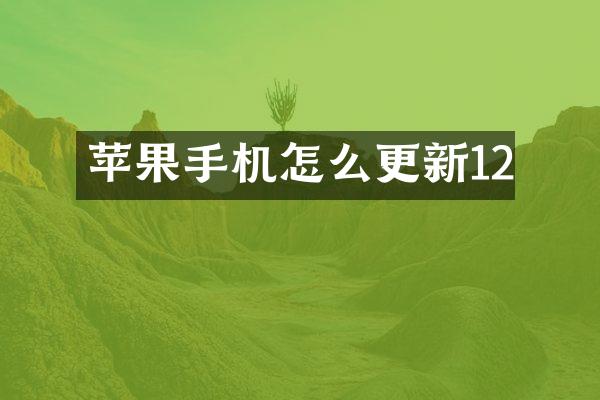 苹果手机怎么更新12