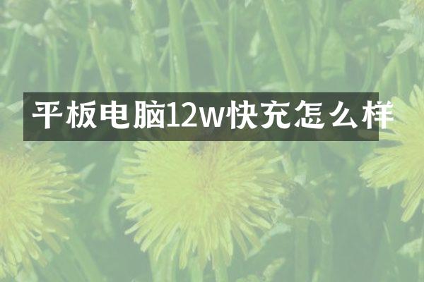 平板电脑12w快充怎么样