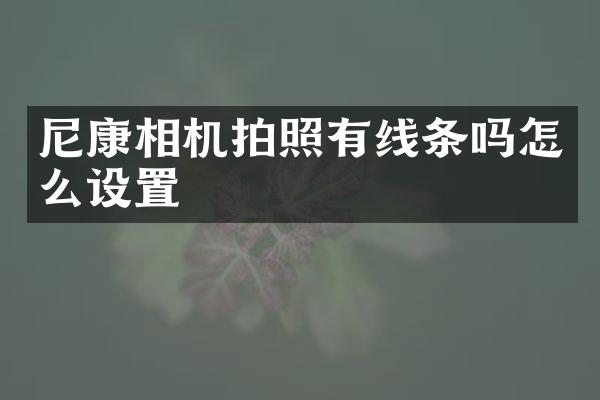 尼康相机拍照有线条吗怎么设置