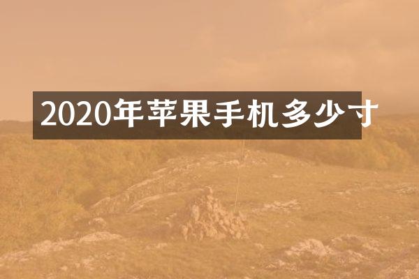 2020年苹果手机多少寸