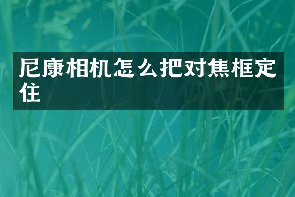 尼康相机怎么把对焦框定住