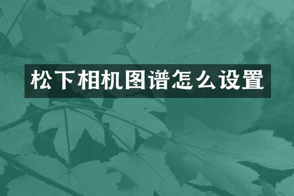 相机图谱怎么设置