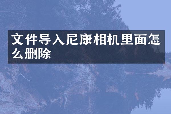 文件导入尼康相机里面怎么删除