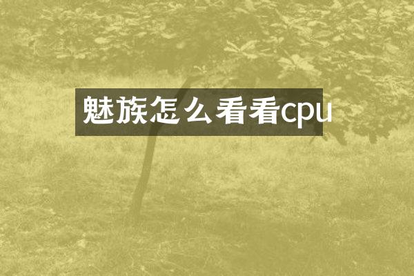 魅族怎么看看cpu