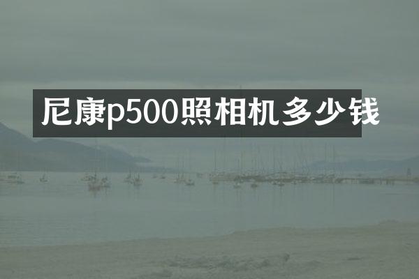 尼康p500照相机多少钱