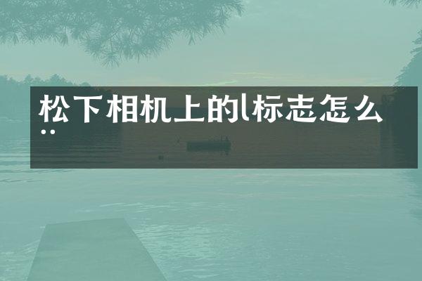 相机上的l标志怎么用