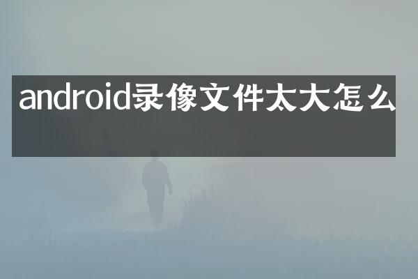 android录像文件太大怎么办