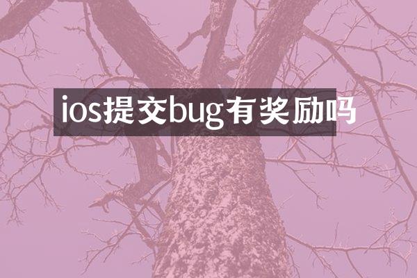 ios提交bug有奖励吗