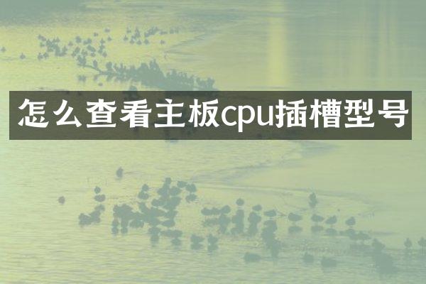 怎么查看主板cpu插槽型号