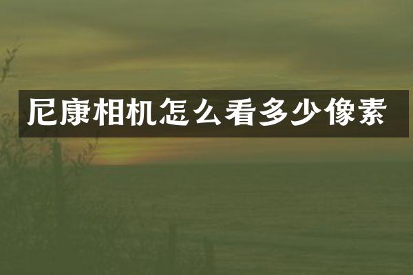 尼康相机怎么看多少像素