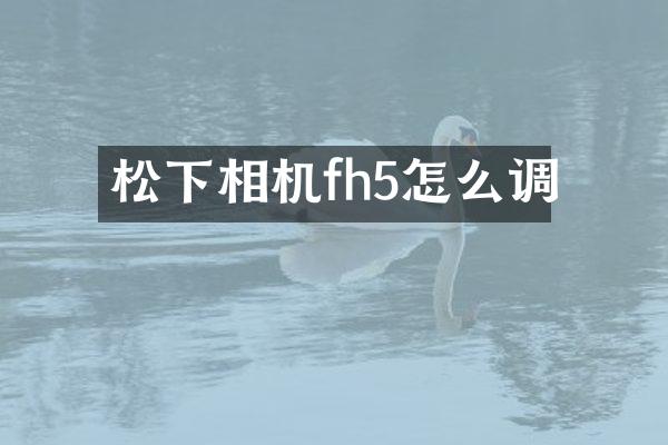 相机fh5怎么调
