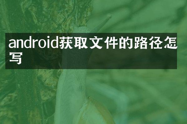 android获取文件的路径怎么写