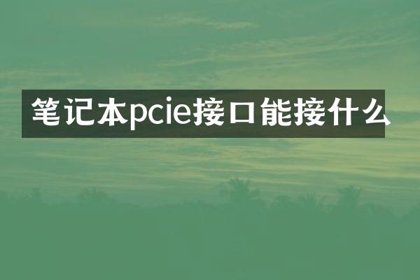 笔记本pcie接口能接什么