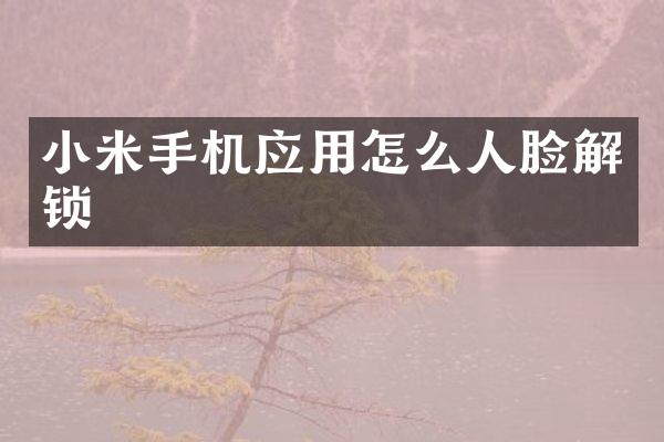 小米手机应用怎么人脸解锁