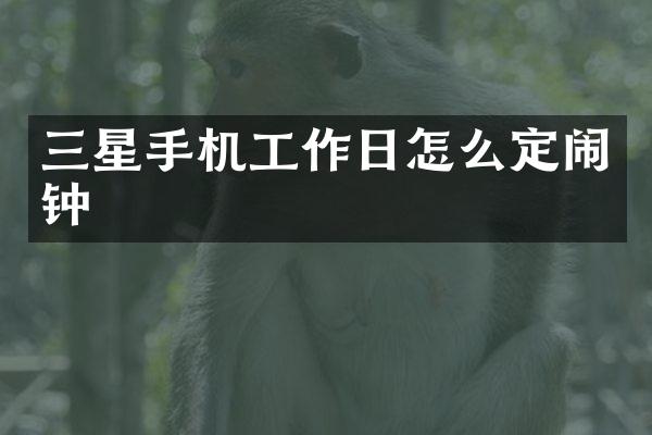 三星手机工作日怎么定闹钟