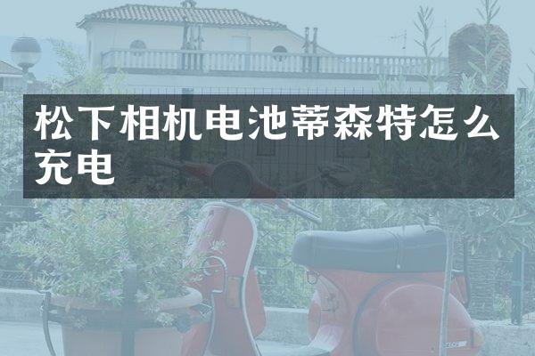 相机电池蒂森特怎么充电