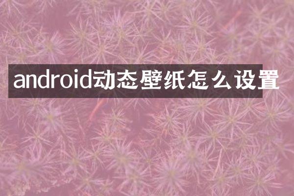 android动态壁纸怎么设置