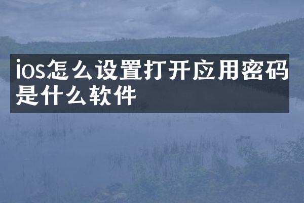 ios怎么设置打开应用密码是什么软件