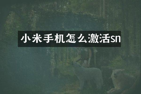 小米手机怎么激活sn