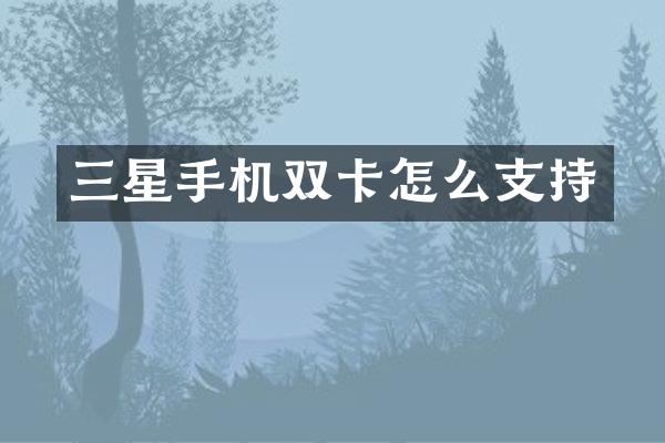 三星手机双卡怎么支持