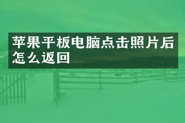 苹果平板电脑点击照片后怎么返回