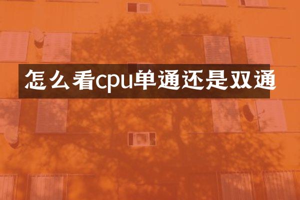 怎么看cpu单通还是双通