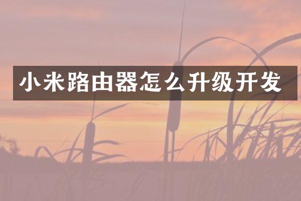 小米路由器怎么升级开发