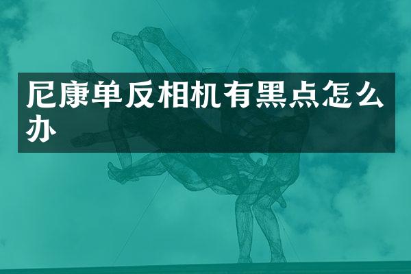 尼康单反相机有黑点怎么办