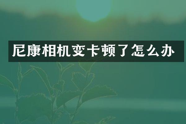 尼康相机变卡顿了怎么办