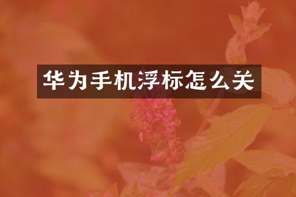 华为手机浮标怎么关