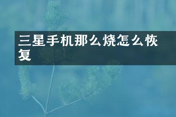 三星手机那么烧屛怎么恢复