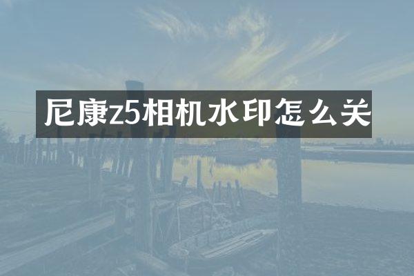 尼康z5相机水印怎么关