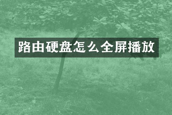 路由硬盘怎么全屏播放