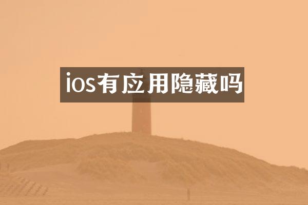 ios有应用隐藏吗
