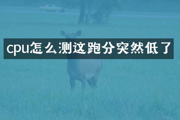 cpu怎么测这跑分突然低了