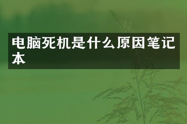 电脑死机是什么原因笔记本