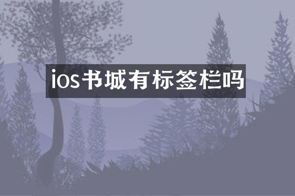 ios书城有标签栏吗