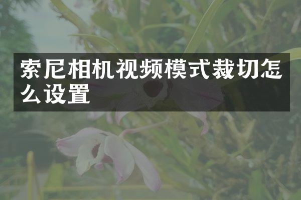 相机视频模式裁切怎么设置