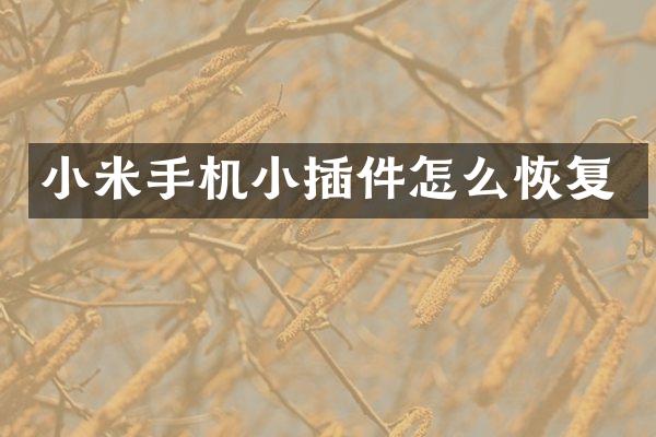 小米手机小插件怎么恢复