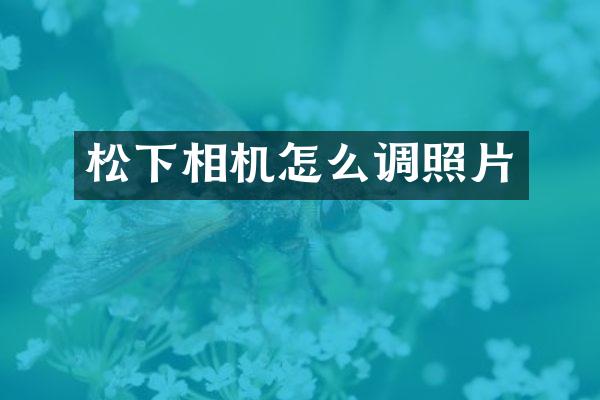 相机怎么调照片