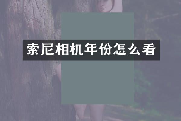 相机年份怎么看