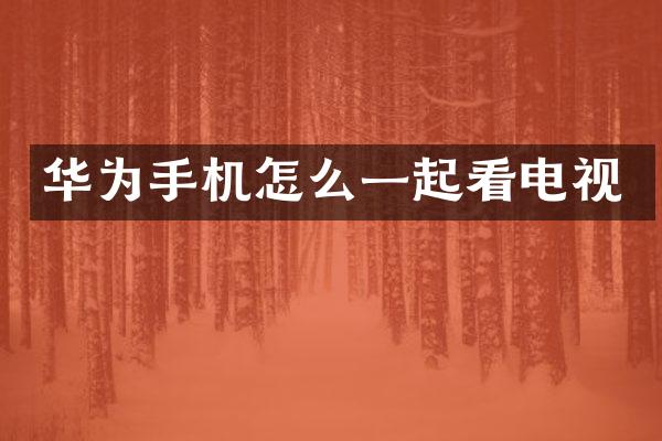 华为手机怎么一起看电视