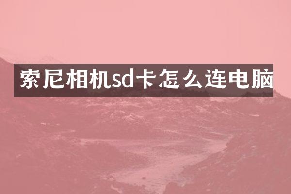 相机sd卡怎么连电脑