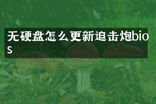 无硬盘怎么更新迫击炮bios